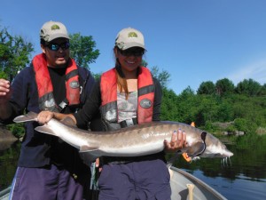 Troy Pine and Jayce Chiblow of Garden River First Nation hold a Lake Sturgeon captured in Garden River.