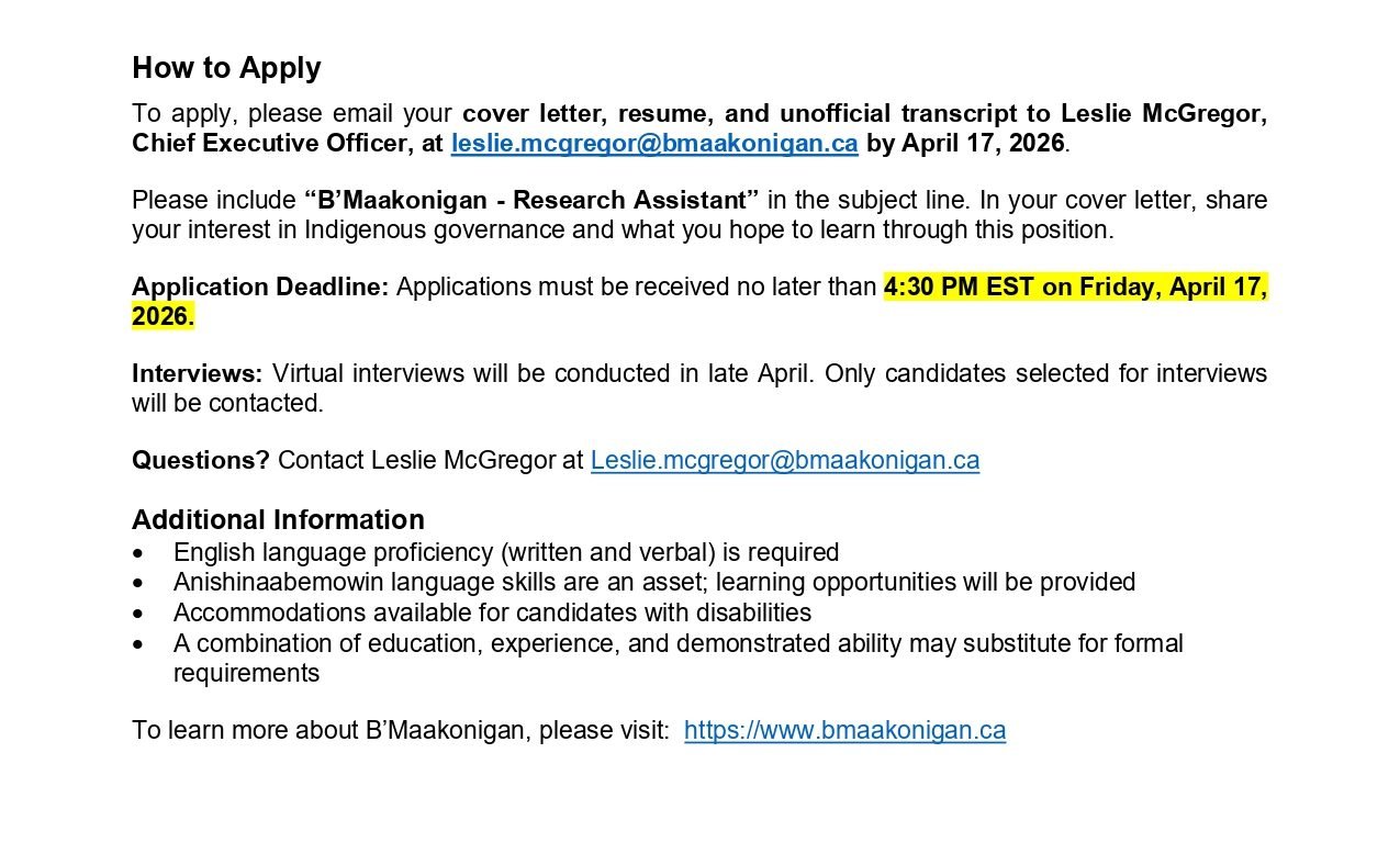 Research Assistant - Governance Development page 3