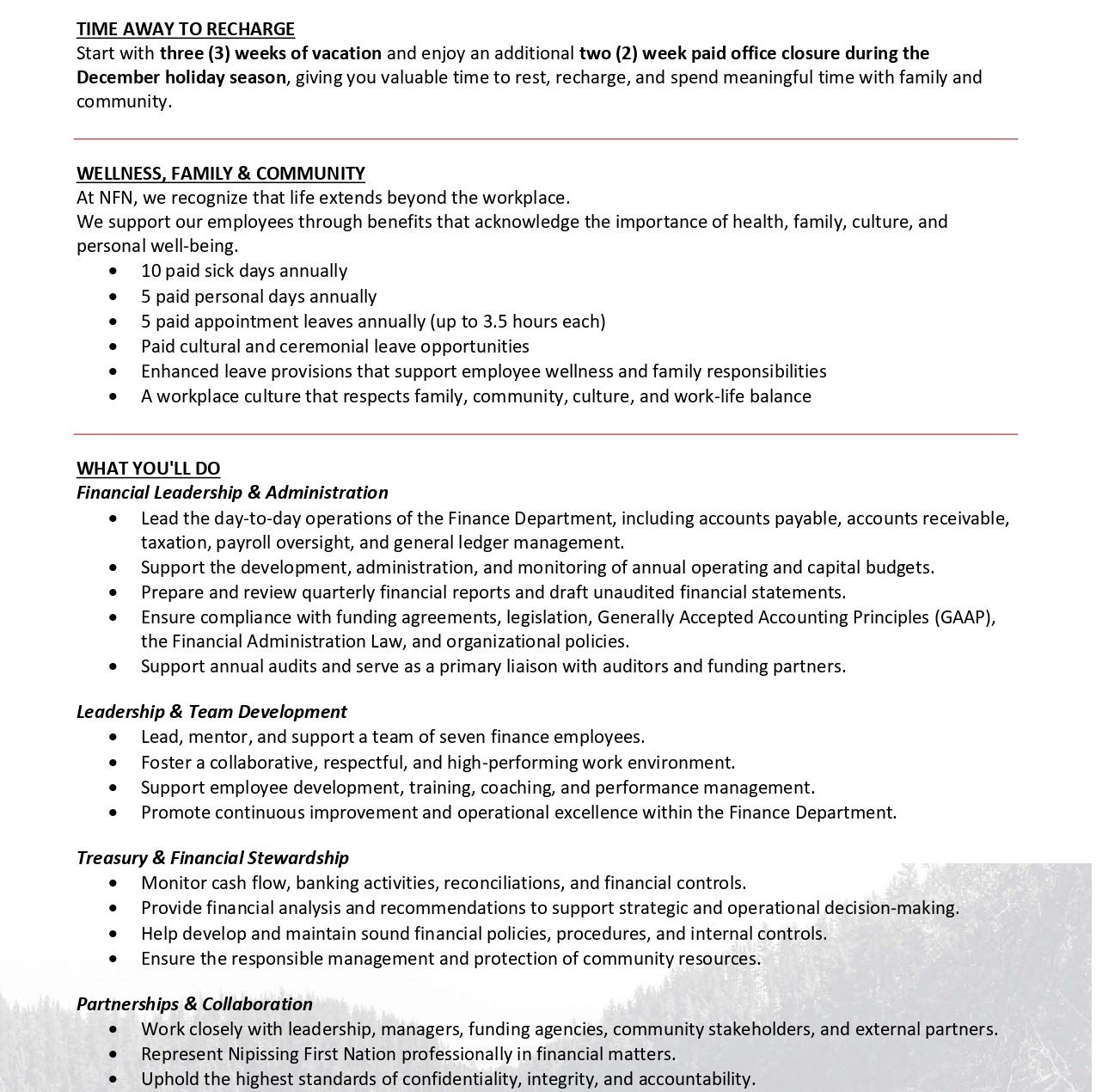 Finance Manager 2